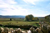 Paisaje primaveral
